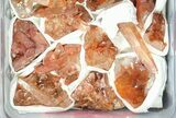 Lot: Natural, Red Quartz Crystals - Pieces #80622-4